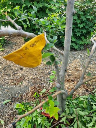 김용대님의 자유주제 · 자유게시판 작성글 사진