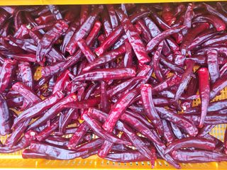 음악사랑님의 자유주제 · 자유게시판 작성글 사진