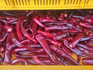 음악사랑님의 자유주제 · 자유게시판 작성글 사진