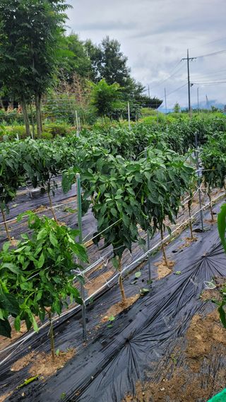 선영~~님의 자유주제 · 자유게시판 작성글 사진