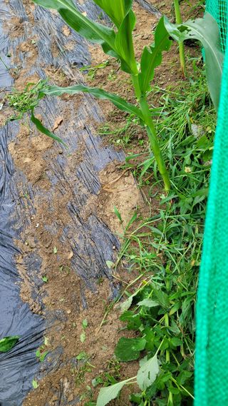 선영~~님의 자유주제 · 자유게시판 작성글 사진