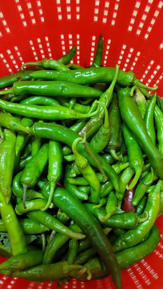 선영~~님의 자유주제 · 자유게시판 작성글 사진