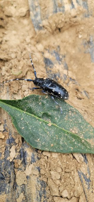 선영~~님의 자유주제 · 자유게시판 작성글 사진