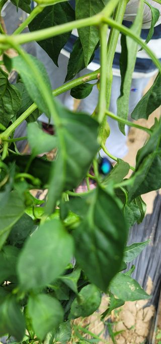 선영~~님의 자유주제 · 자유게시판 작성글 사진