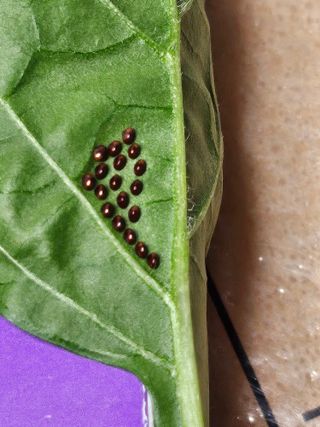 임무현님의 자유주제 · 자유게시판 작성글 사진