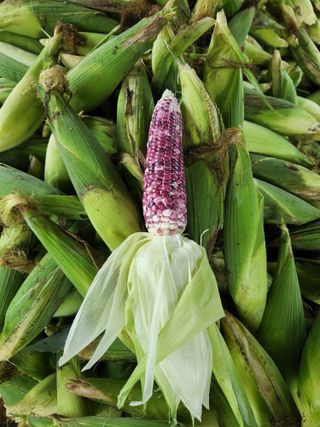 박명자님의 자유주제 · 자유게시판 작성글 사진