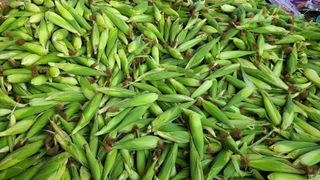 박명자님의 자유주제 · 자유게시판 작성글 사진