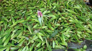 박명자님의 자유주제 · 자유게시판 작성글 사진