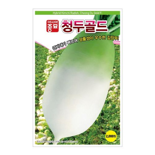 장터 상품 [[아시아종묘] 청두골드(김장) 씨앗종자 2000립] 썸네일