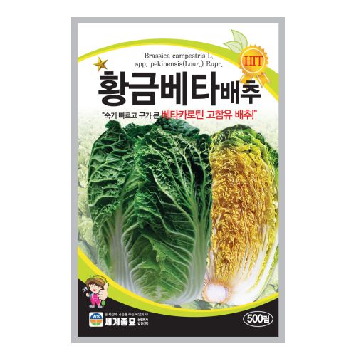 장터 상품 [[세계종묘] 황금베타배추(항암김장배추) 씨앗종자 500립] 썸네일