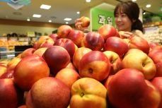 김명옥님의 장터 판매 상품 [복숭아 5kg] 첨부 사진