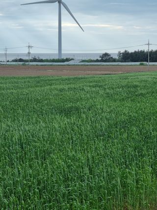 장준석님의 작성글 사진