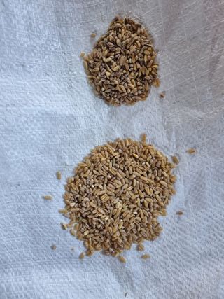 장준석님의 작성글 사진