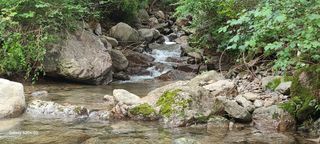 이태건님의 두릅 · 영농일지 작성글 사진