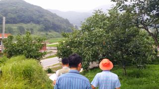 이명기님의 기타작물 · 영농일지 작성글 사진