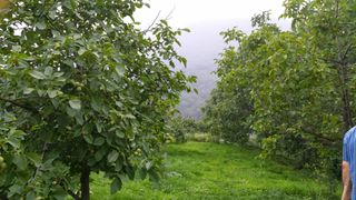 이명기님의 기타작물 · 영농일지 작성글 사진