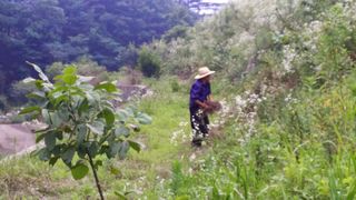 이명기님의 기타작물 · 영농일지 작성글 사진