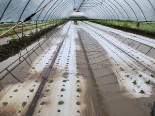 쏭이네농장(현자)님의 자유주제 · 자유게시판 작성글 사진