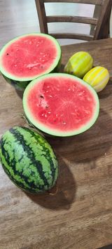 팜모닝 자유주제·자유게시판 게시글 이미지