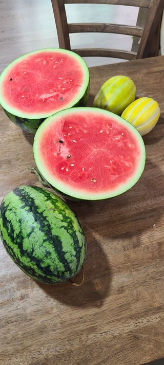 (천지산)님의 자유주제 · 자유게시판 작성글 사진