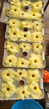 팜모닝 자유주제·자유게시판 게시글 이미지