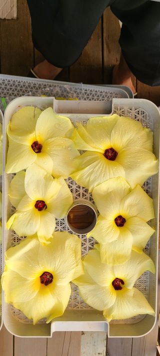 (천지산)님의 자유주제 · 자유게시판 작성글 사진