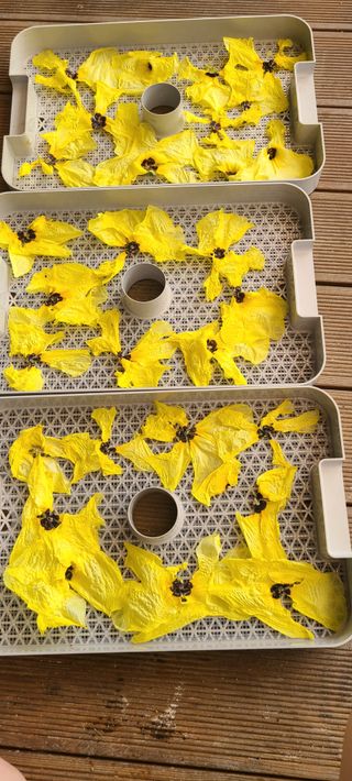 (천지산)님의 자유주제 · 자유게시판 작성글 사진