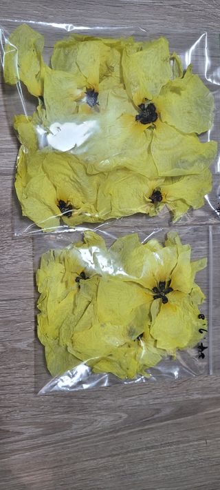 (천지산)님의 자유주제 · 자유게시판 작성글 사진