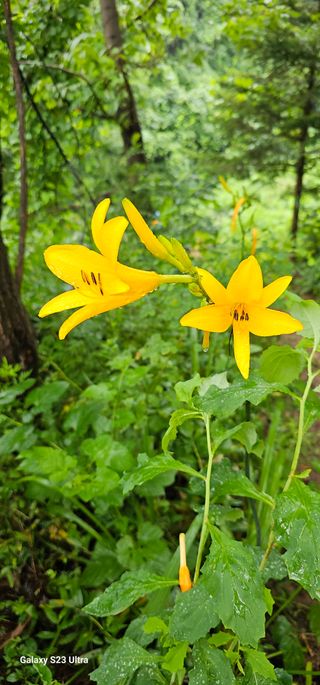 해오름달님의 자유주제 · 자유게시판 작성글 사진