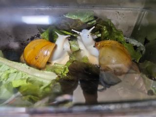 양간다리님의 기타작물 · 영농일지 작성글 사진