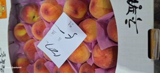 외동 박동섭님의 자유주제 · 자유게시판 작성글 사진