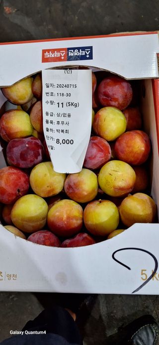 외동 박동섭님의 자유주제 · 자유게시판 작성글 사진