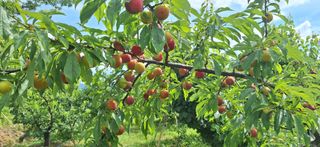 외동 박동섭님의 자유주제 · 자유게시판 작성글 사진