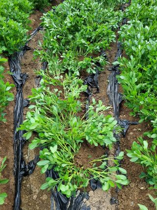 장기준님의 자유주제 · 자유게시판 작성글 사진