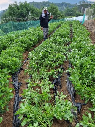 장기준님의 자유주제 · 자유게시판 작성글 사진