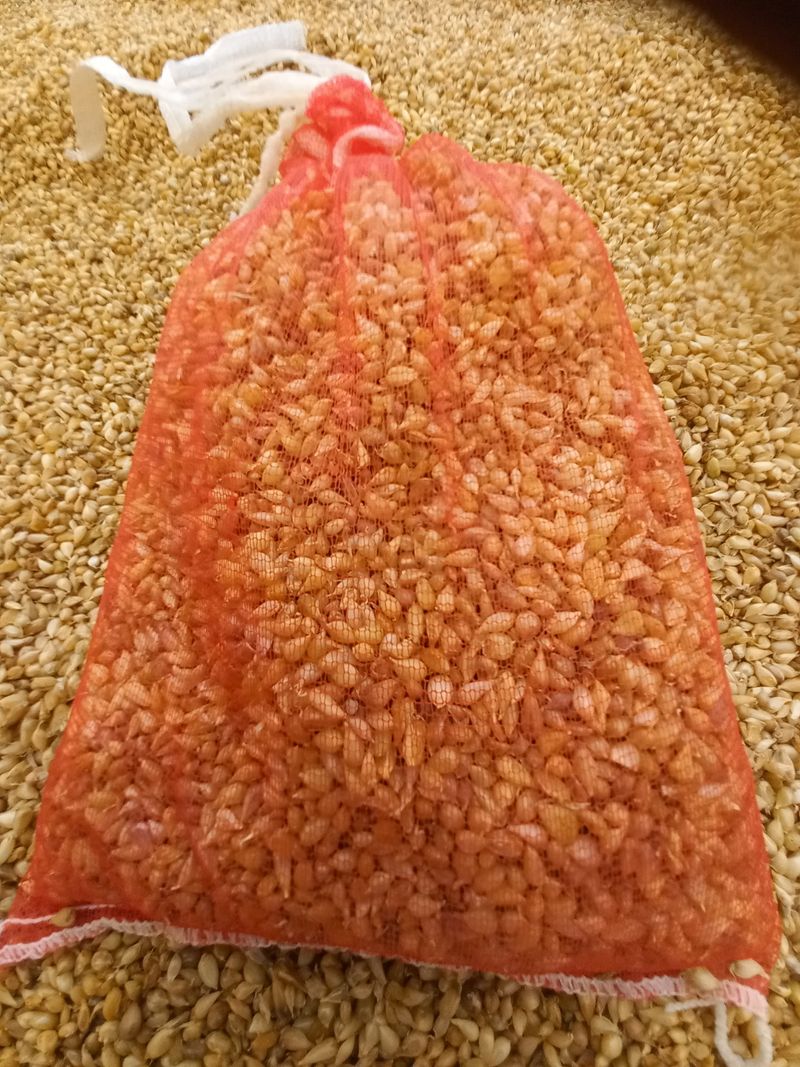 장터 상품 [홍산마늘주아 200g] 썸네일