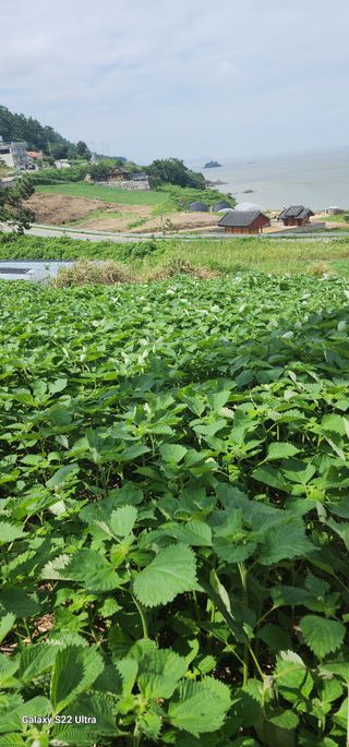 성창준님의 자유주제 · 자유게시판 작성글 사진