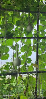 팜모닝 자유주제·자유게시판 게시글 이미지