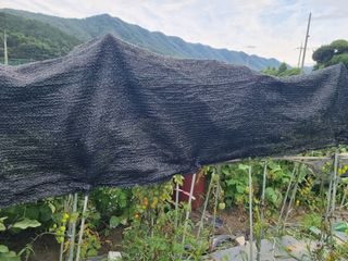 연산나무농장님의 자유주제 · 자유게시판 작성글 사진