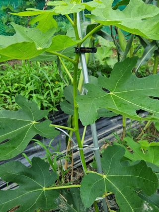 연산나무농장님의 자유주제 · 자유게시판 작성글 사진