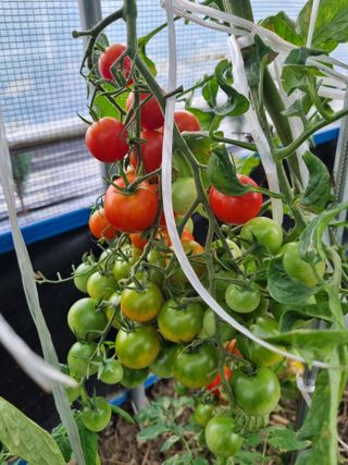 연산나무농장님의 자유주제 · 자유게시판 작성글 사진