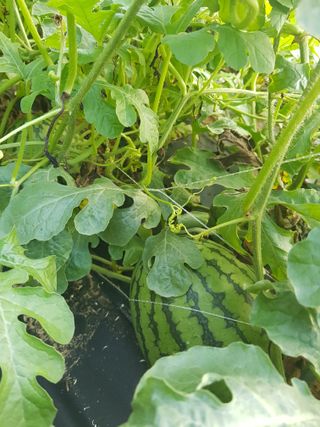 김건호님의 자유주제 · 자유게시판 작성글 사진