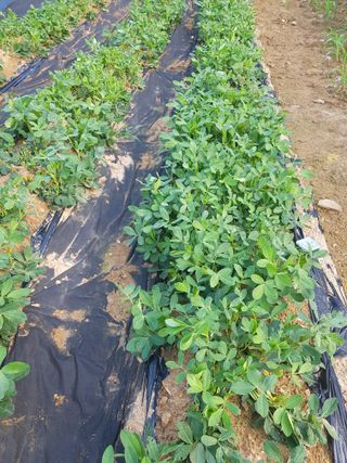 김건호님의 자유주제 · 자유게시판 작성글 사진