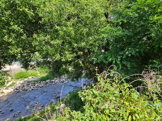 남옥선님의 자유주제 · 자유게시판 작성글 사진