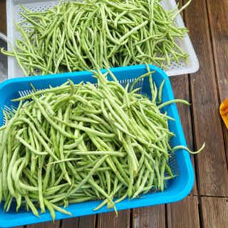 남옥선님의 자유주제 · 자유게시판 작성글 사진