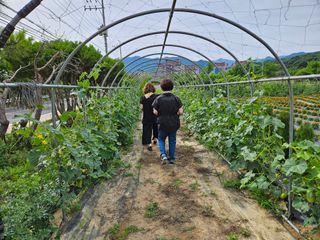 남옥선님의 자유주제 · 자유게시판 작성글 사진