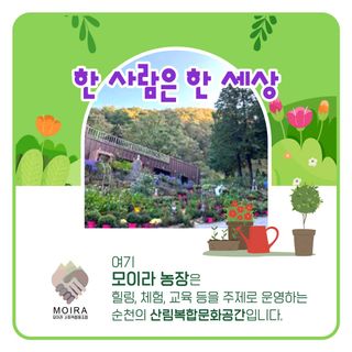 치유숲모이라양재순님의 자유주제 · 자유게시판 작성글 사진
