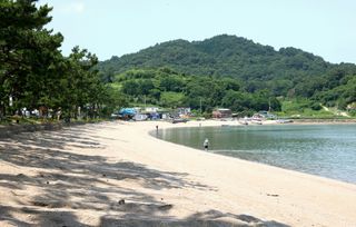 국중선님의 자유주제 · 자유게시판 작성글 사진