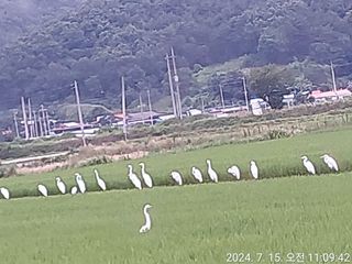 유병욱님의 자유주제 · 자유게시판 작성글 사진