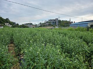 고대박님의 자유주제 · 자유게시판 작성글 사진